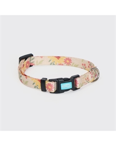 Ошейник для собак Лето, обхват шеи 35-53 см, ширина 2 см Rurri