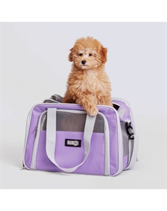 Сумка-переноска для кошек и собак, 41х29х29 см Rurri