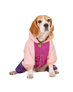 Комбинезон с капюшоном для собак, 4XL, фиолетовый (девочка) Petmax