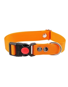 Ошейник для собак нейлоновый, XL, обхват шеи 40-65 см, ширина 2,5 см, оранжевый Rungo