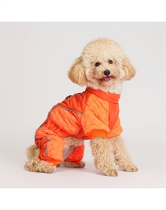 Комбинезон на замке для собак, 2XL, оранжевый Petmax