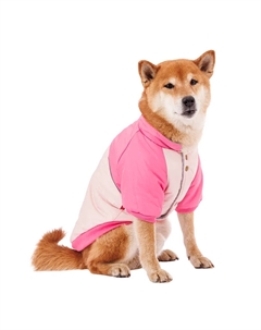 Куртка для собак 2XL розовый (унисекс) Petmax