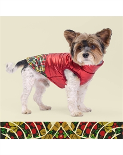 Куртка для собак на замке, XL, красная Petmax