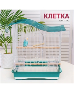 Клетка для птиц, 48х30х50,5 см, бело-зеленая Petmax
