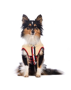 Свитер для кошек и собак, XS, красный (унисекс) Petmax