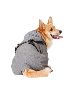 Комбинезон светоотражающий для собак, 4XL, серый (унисекс) Petmax