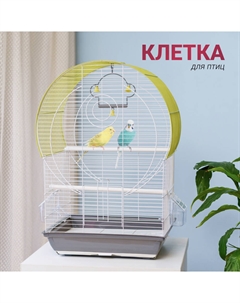 Клетка для птиц, 39х26х57 см, зелено-серая Petmax