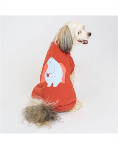Толстовка с медведем для кошек и собак, 2XL, терракотовый Petmax