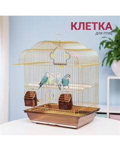 Клетка для птиц, 43,5х26,5х48,5 см, золотая Petmax