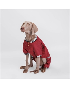 Комбинезон для собак Комикс, 5XL, кофейный Petmax