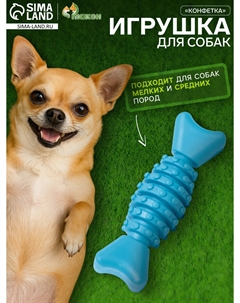 Игрушка жевательная Пижон