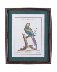 Панно вертикальное попугай, под старину 22х2х27 см Гласар