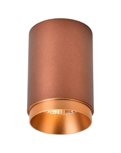 Точечный накладной светильник Stecken WE801.01.607+WE803.RG.400 Wertmark