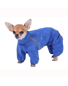 Комбинезон холодный для собак породы шпиц, M (мальчик) Тузик