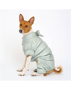 Комбинезон для собак, 2XL, зеленый (девочка) Rurri