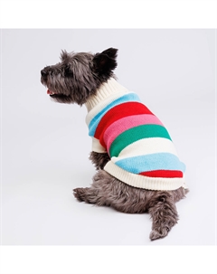 Свитер полосатый разноцветный для кошек и собак, 2XL Petmax
