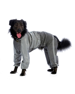 Комбинезон холодный для собак породы самоедская лайка, 5XL (девочка) Тузик
