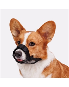 Намордник для собак нейлоновый, M, обхват морды 20-22 см Rungo