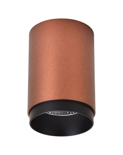 Точечный накладной светильник Stecken WE801.01.607+WE803.RG.020 Wertmark