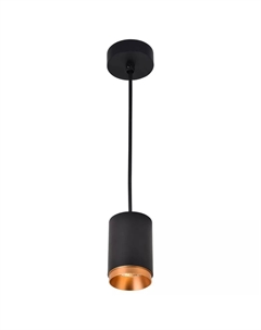 Точечный подвесной светильник Stecken WE801.01.027+WE803.RG.400 Wertmark