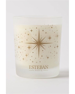 Аромасвеча Морозная Клюква Esteban