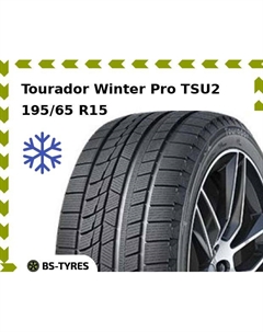 Зимние шины Tourador Winter Pro TSU2 195/65 R15 91H