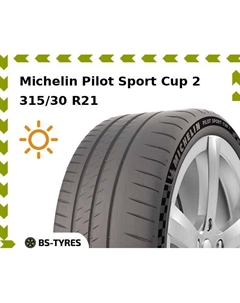 Летние шины Michelin Pilot Sport Cup 2 315/30 R21 105Y