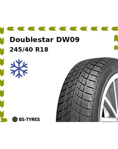 Зимние шины Doublestar DW09 245/40 R18 93H