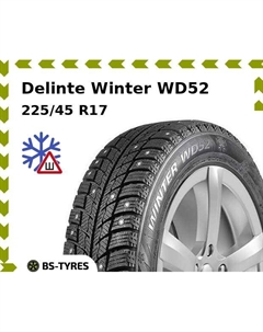 Зимние шины Delinte Winter WD52 225/45 R17 94H