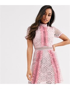 Розовое кружевное платье мини с контрастными оборками True decadence petite