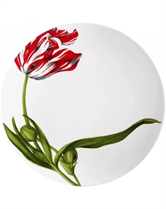 Тарелка Emotion 5-8-0 Taitu