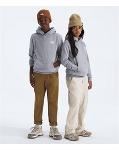 Толстовка с капюшоном Evolution Box NSE для мальчиков и девочек с рисунком, TNF Pale Grey Heather/Summit Gold Regenerative Ink Print The north face