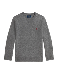 Свитер с круглым вырезом, серый Polo ralph lauren kids