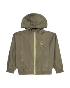 Демисезонная куртка, Green/Light green Converse