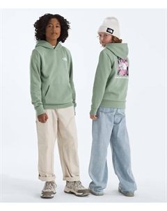 Толстовка с капюшоном Evolution Box NSE для мальчиков и девочек с рисунком, Slate Moss The north face