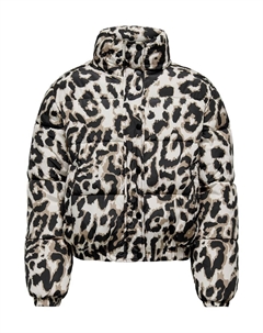 Зимняя куртка MOON, Grey Jdy