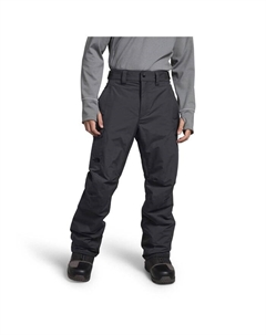 Утепленные шорты Freedom - мужские, Asphalt Grey The north face