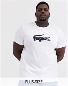 Белая футболка с большим логотипом на груди Lacoste Lacoste sport