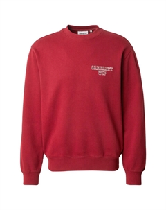 Толстовка Alumni, Red/Light red Carhartt wip