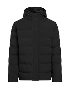 Зимняя куртка, Black Bench