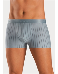 Боксеры, Grey S.oliver