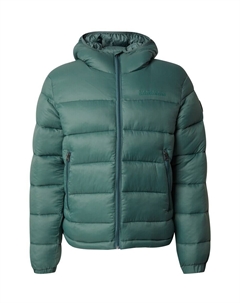 Зимняя куртка ARNEL 1, Green Napapijri