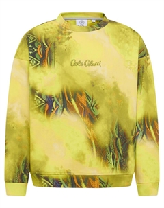 Толстовка Diop, Yellow Carlo colucci