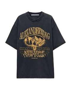 Футболка с графичным принтом, серый Alexander wang