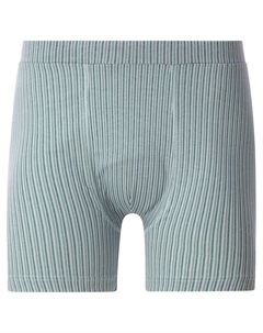 Боксеры Sigskov, Mixed colors Jan vanderstorm