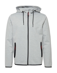 Худи с капюшоном на молнии Vidit, Light grey Solid