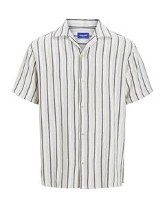 Рубашка на пуговицах Comfort fit  Coba, Pastel green Jack & jones