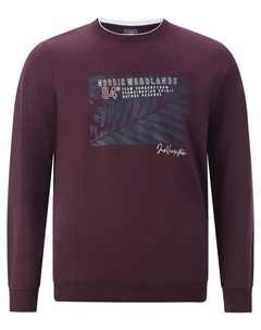 Толстовка Lindskov, Red Jan vanderstorm