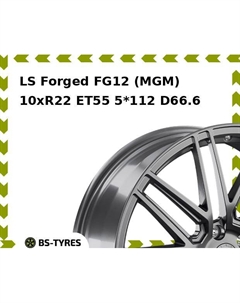 Колесный диск LS Forged FG12 (MGM) 10xR22 ET55 5*112 D66.6 Ls