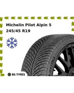 Зимние шины Michelin Pilot Alpin 5 245/45 R19 102V